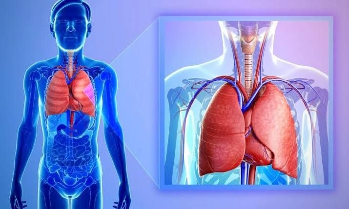 Pleural Fibrosis: Causes, Symptoms and Treatment