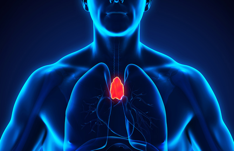 Thymoma: Causes, Symptoms and Treatment Options